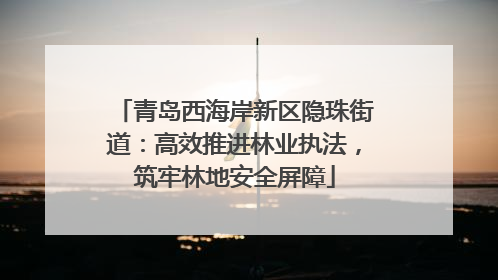 青岛西海岸新区隐珠街道：高效推进林业执法，筑牢林地安全屏障