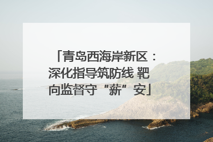 青岛西海岸新区：深化指导筑防线 靶向监督守“薪”安