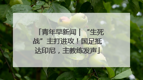 青年早新闻｜“生死战”主打进攻！国足抵达印尼，主教练发声