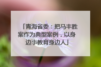 青海省委：把马丰胜案作为典型案例，以身边事教育身边人