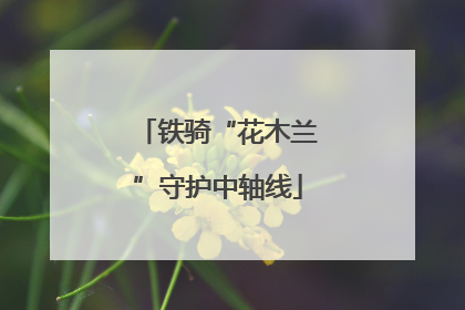 铁骑“花木兰”守护中轴线