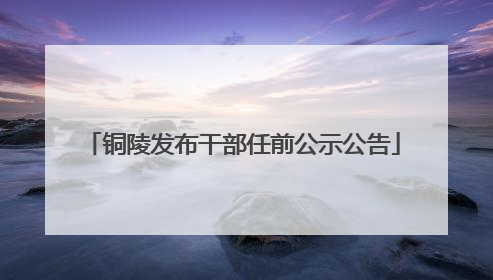 铜陵发布干部任前公示公告