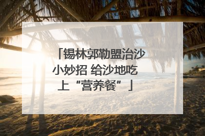 锡林郭勒盟治沙小妙招 给沙地吃上“营养餐”