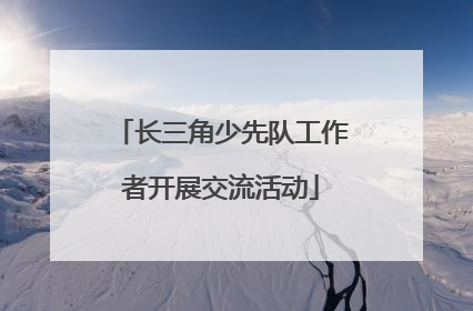长三角少先队工作者开展交流活动