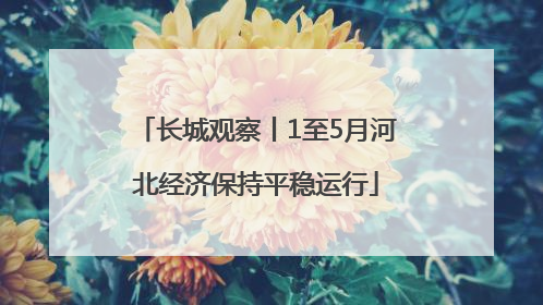 长城观察丨1至5月河北经济保持平稳运行