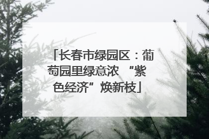 长春市绿园区：葡萄园里绿意浓 “紫色经济”焕新枝