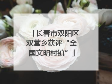 长春市双阳区双营乡获评“全国文明村镇”