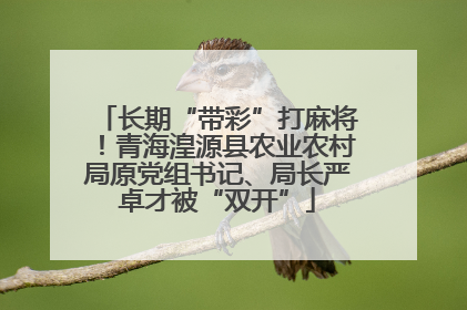 长期“带彩”打麻将！青海湟源县农业农村局原党组书记、局长严卓才被“双开”