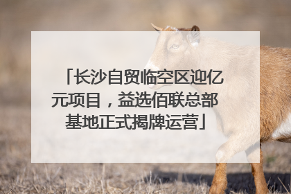 长沙自贸临空区迎亿元项目，益选佰联总部基地正式揭牌运营