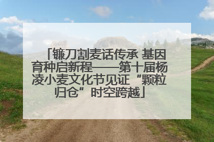 镰刀割麦话传承 基因育种启新程——第十届杨凌小麦文化节见证“颗粒归仓”时空跨越