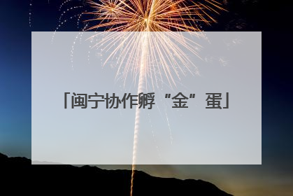 闽宁协作孵“金”蛋