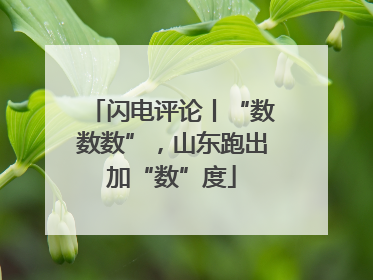 闪电评论丨“数数数”，山东跑出加“数”度