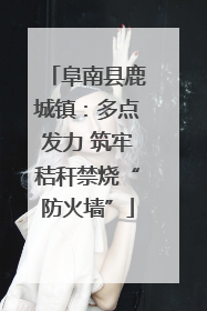阜南县鹿城镇：多点发力 筑牢秸秆禁烧“防火墙”