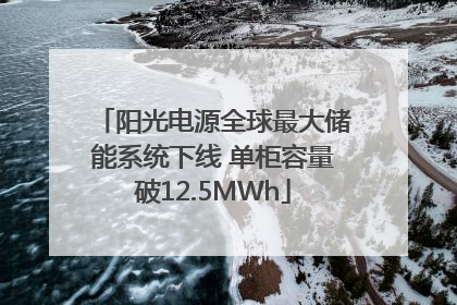 阳光电源全球最大储能系统下线 单柜容量破12.5MWh
