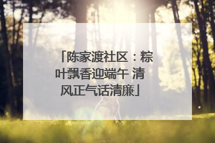 陈家渡社区：粽叶飘香迎端午 清风正气话清廉