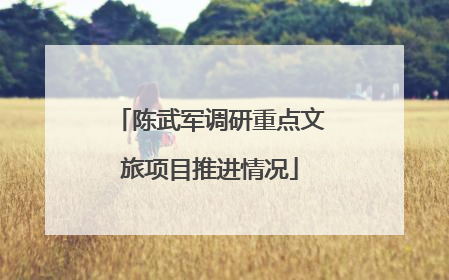 陈武军调研重点文旅项目推进情况