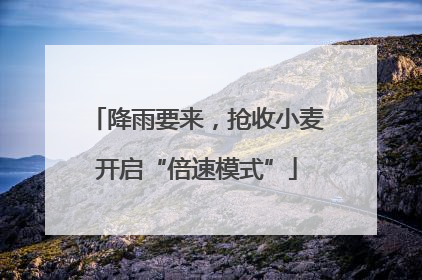 降雨要来，抢收小麦开启“倍速模式”