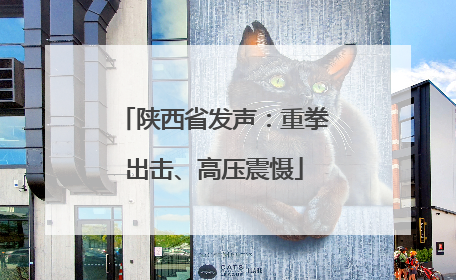 陕西省发声：重拳出击、高压震慑
