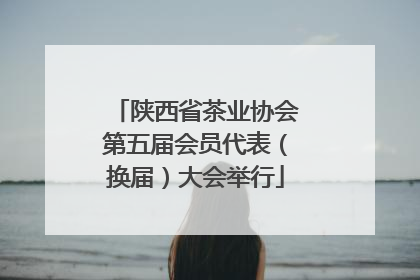 陕西省茶业协会第五届会员代表（换届）大会举行