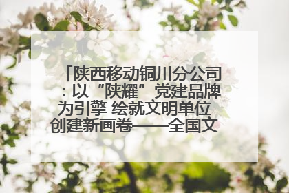 陕西移动铜川分公司：以“陕耀”党建品牌为引擎 绘就文明单位创建新画卷——全国文明单位创建纪实