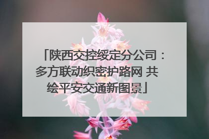 陕西交控绥定分公司：多方联动织密护路网 共绘平安交通新图景