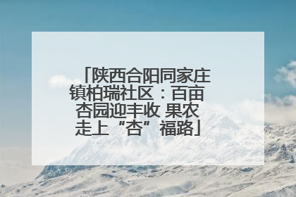 陕西合阳同家庄镇柏瑞社区：百亩杏园迎丰收 果农走上“杏”福路