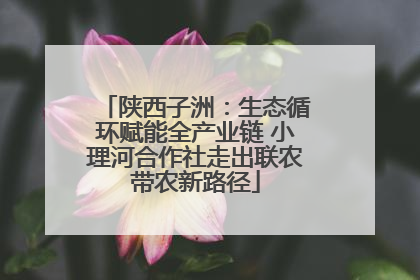 陕西子洲：生态循环赋能全产业链 小理河合作社走出联农带农新路径