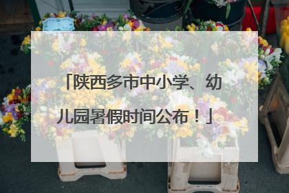 陕西多市中小学、幼儿园暑假时间公布！