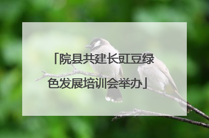 院县共建长豇豆绿色发展培训会举办