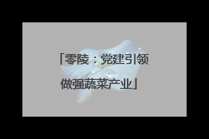 零陵：党建引领 做强蔬菜产业