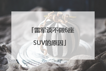 雷军谈不做6座SUV的原因