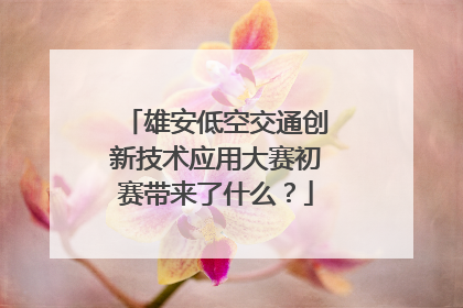 雄安低空交通创新技术应用大赛初赛带来了什么？