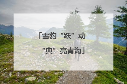 雪豹“跃”动 “典”亮青海