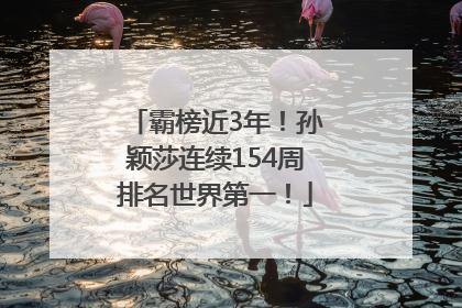 霸榜近3年！孙颖莎连续154周排名世界第一！