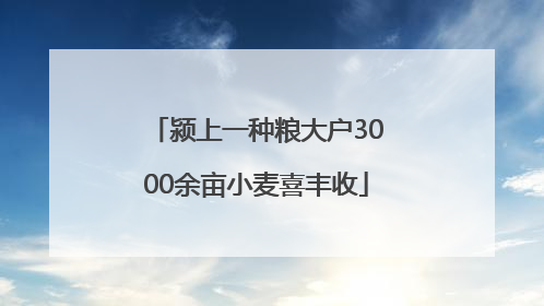 颍上一种粮大户3000余亩小麦喜丰收