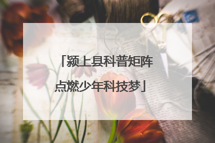 颍上县科普矩阵点燃少年科技梦