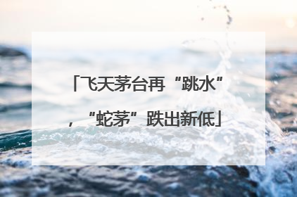 飞天茅台再“跳水”，“蛇茅”跌出新低