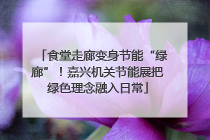食堂走廊变身节能“绿廊”！嘉兴机关节能展把绿色理念融入日常