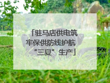 驻马店供电筑牢保供防线护航“三夏”生产