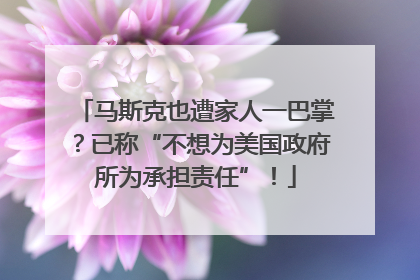 马斯克也遭家人一巴掌？已称“不想为美国政府所为承担责任”！
