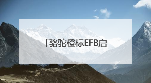 骆驼橙标EFB启停电池：引领高性价比启停电池新选择
