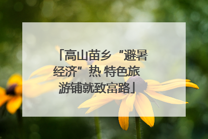 高山苗乡“避暑经济”热 特色旅游铺就致富路