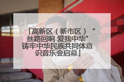 高新区（新市区）“丝路回响 爱我中华”铸牢中华民族共同体意识音乐会启幕