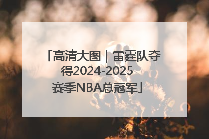 高清大图｜雷霆队夺得2024-2025赛季NBA总冠军