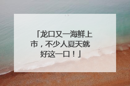 龙口又一海鲜上市，不少人夏天就好这一口！