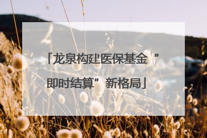 龙泉构建医保基金“即时结算”新格局