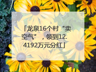龙泉16个村“卖空气”，领到12.4192万元分红