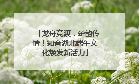 龙舟竞渡，楚韵传情！知音湖北端午文化焕发新活力