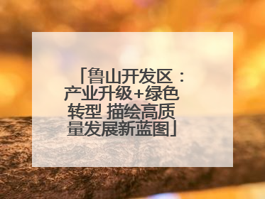 鲁山开发区：产业升级+绿色转型 描绘高质量发展新蓝图