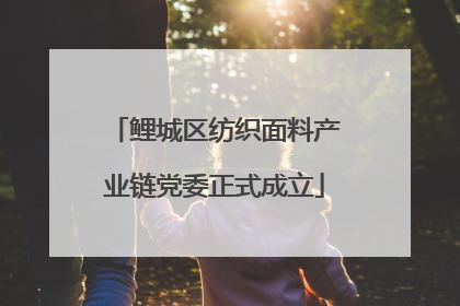 鲤城区纺织面料产业链党委正式成立